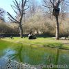 20130502_132200