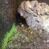 20130502_132634
