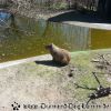 20130502_133907