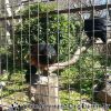 20130502_134002