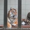 20130502_140615
