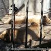 20130502_140741