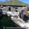 20130502_141539