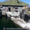 20130502_141546