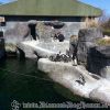 20130502_141557